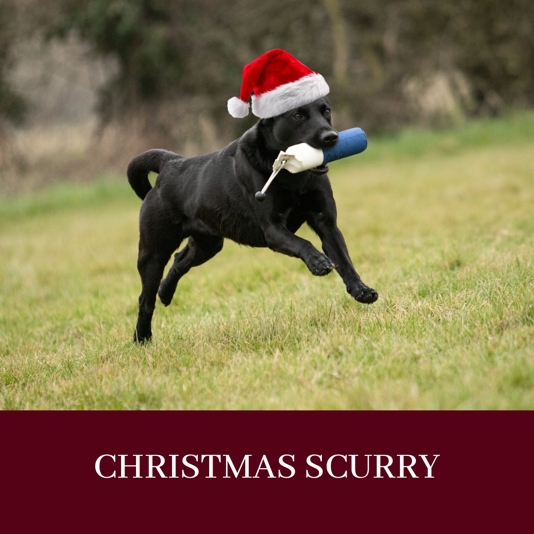 CHRISTMAS SCURRY