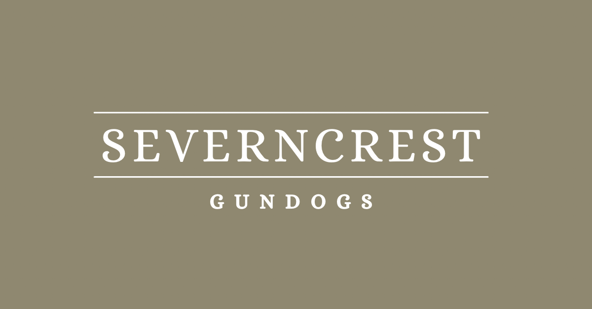 Severncrest Gundogs