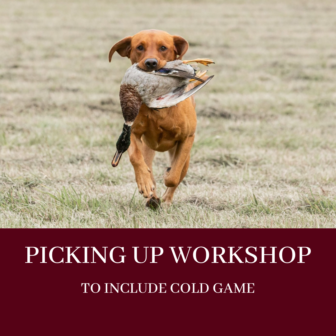 PICKING UP WORKSHOP
