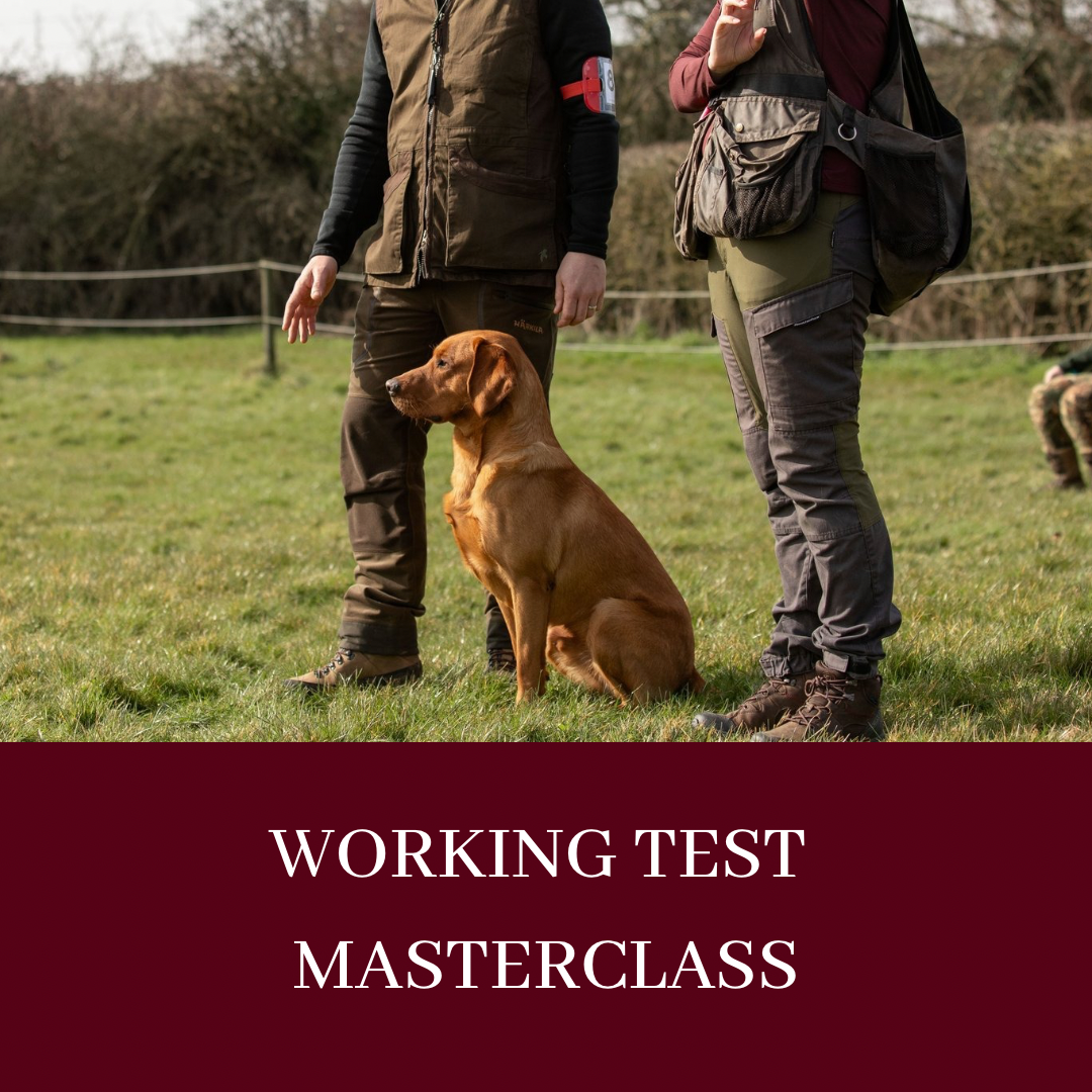 WORKING TEST MASTERCLASS