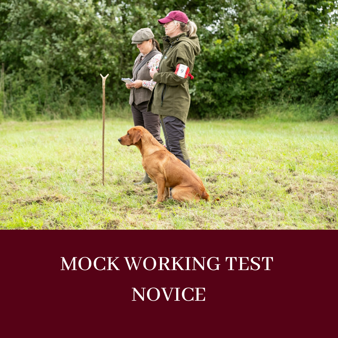 MOCK WORKING TEST - NOVICE ND/NH