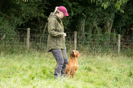It’s Not Always the Dog: A Reflection on Gundog Training and Owner Accountability