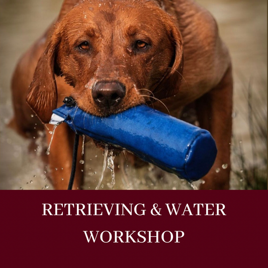 RETRIEVING & WATER WORKSHOP