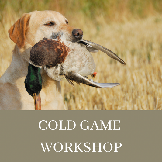 COLD GAME WORKSHOP