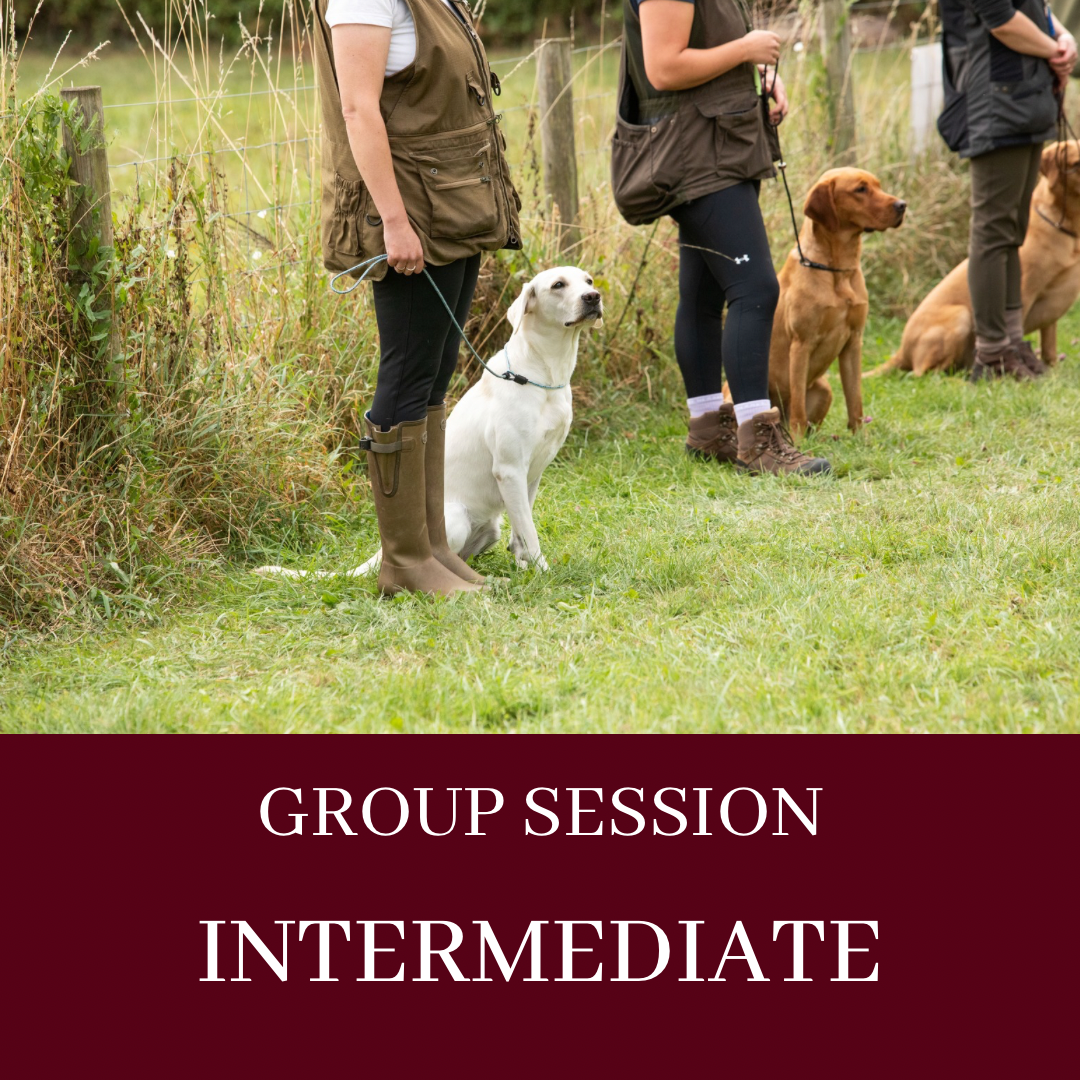 GROUP LESSON - INTERMEDIATE