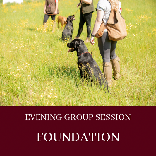 EVENING GROUP LESSON - FOUNDATION