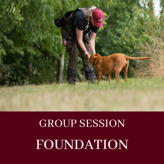 GROUP LESSON - FOUNDATION