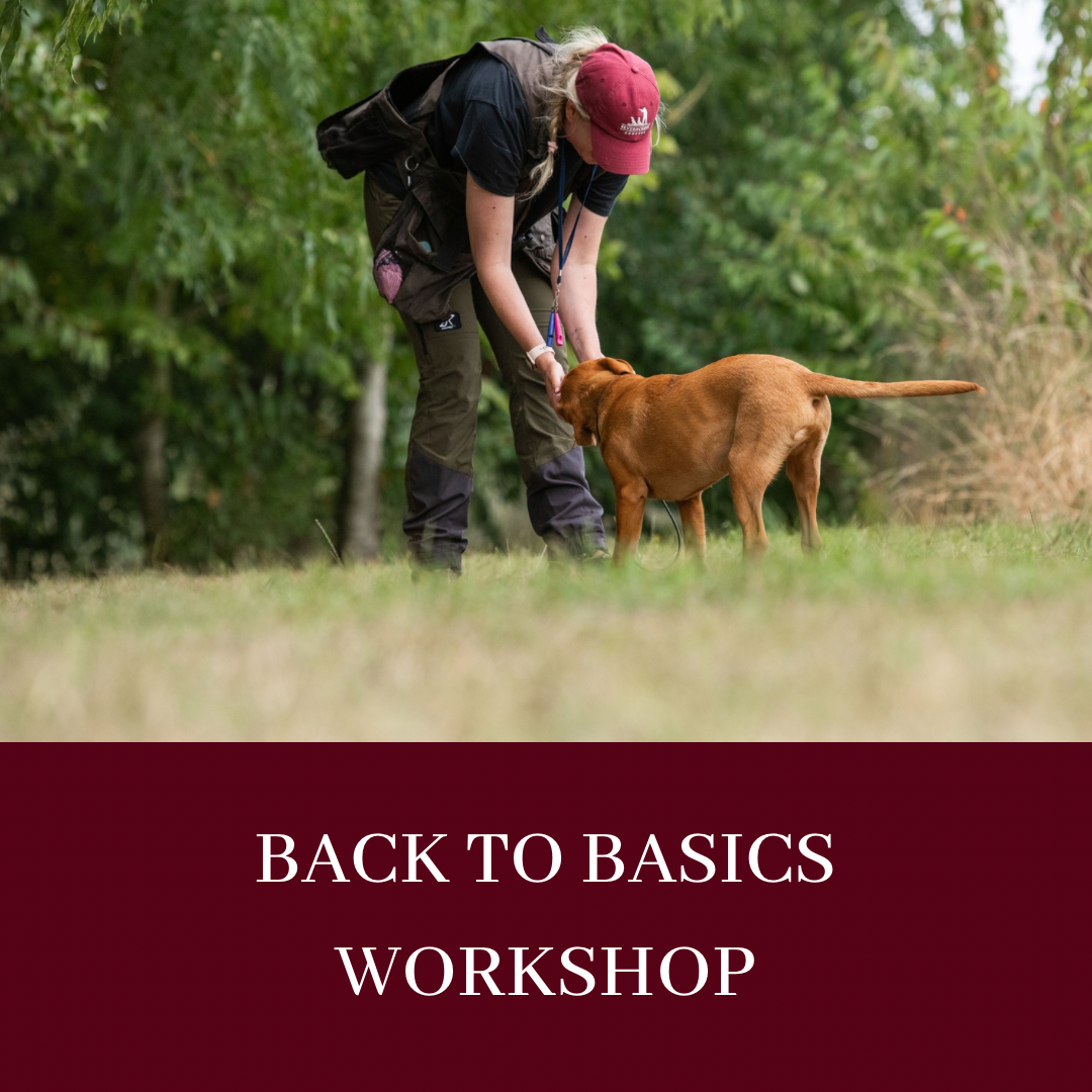 BACK TO BASICS WORKSHOP