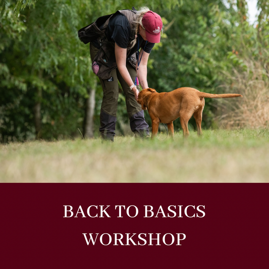 BACK TO BASICS WORKSHOP