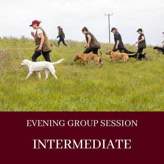 EVENING GROUP LESSON - INTERMEDIATE