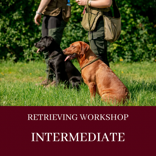 RETRIEVING WORKSHOP - INTERMEDIATE