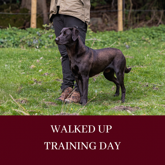 WALKED UP TRAINING DAY