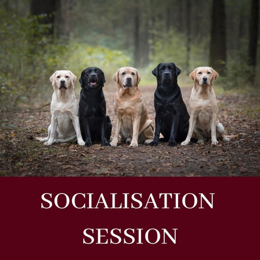 SOCIALISATION & NEUTRALITY SESSION