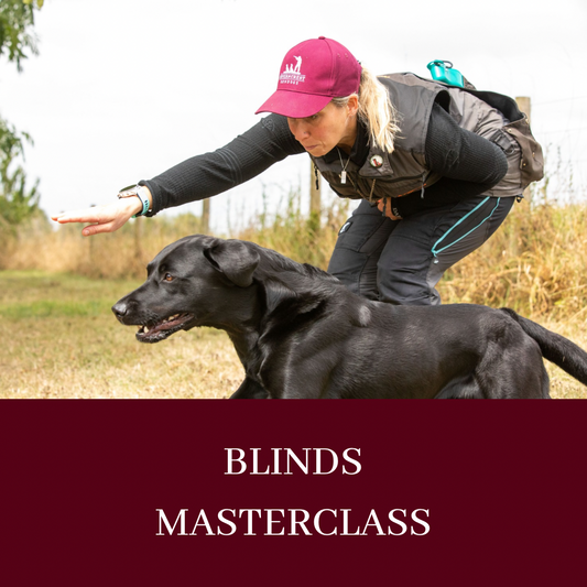 BLINDS MASTERCLASS