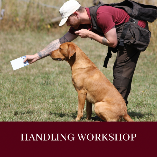 HANDLING WORKSHOP