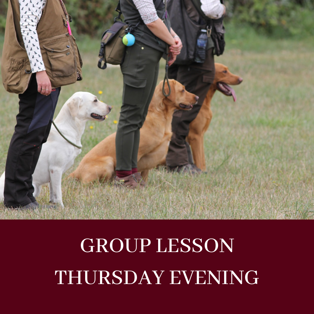 EVENING GROUP LESSON - THURSDAYS