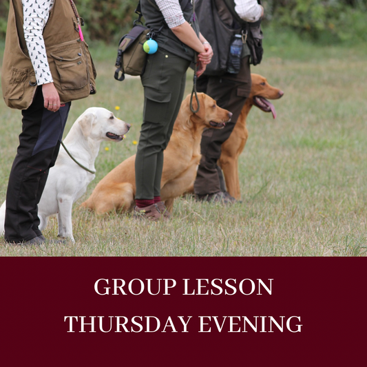 EVENING GROUP LESSON - THURSDAYS